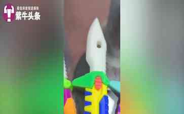 疯狂萝卜刀惊艳夏日,小学生疯狂追捧