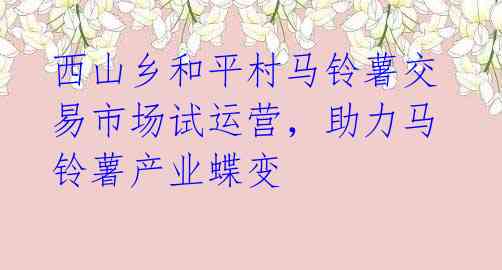 西山乡和平村马铃薯交易市场试运营,助力马铃薯产业蝶变