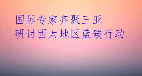 国际专家齐聚三亚 研讨西太地区蓝碳行动