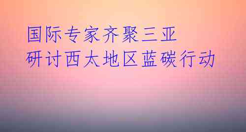 国际专家齐聚三亚 研讨西太地区蓝碳行动 