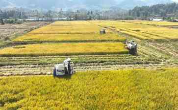  秋收时节 农忙景象 各地进入收获高峰期 