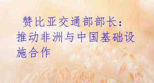 赞比亚交通部部长:推动非洲与中国基础设施合作