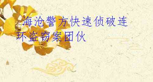 海沧警方快速侦破连环盗窃案团伙