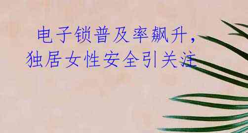电子锁普及率飙升,独居女性安全引关注