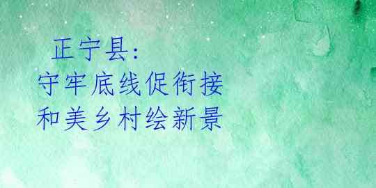  正宁县: 守牢底线促衔接 和美乡村绘新景