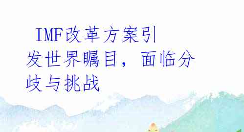  IMF改革方案引发世界瞩目，面临分歧与挑战 