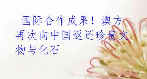 国际合作成果!澳方再次向中国返还珍贵文物与化石