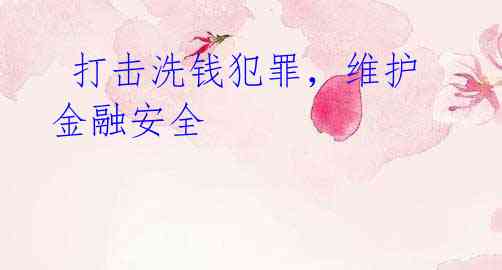 打击洗钱犯罪,维护金融安全