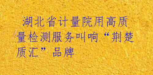 湖北省计量院用高质量检测服务叫响“荆楚质汇”品牌