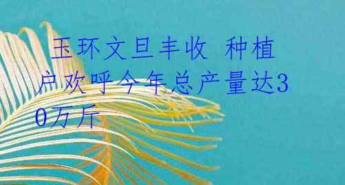  玉环文旦丰收 种植户欢呼今年总产量达30万斤 