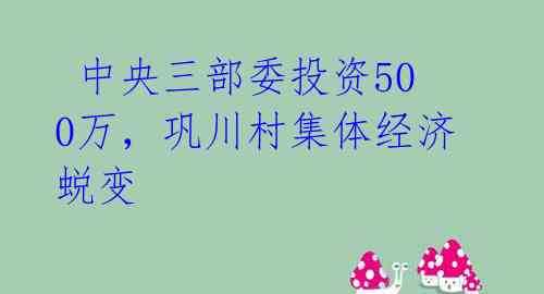 中央三部委投资500万，巩川村集体经济蜕变