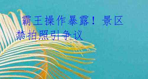  霸王操作暴露！景区禁拍照引争议 
