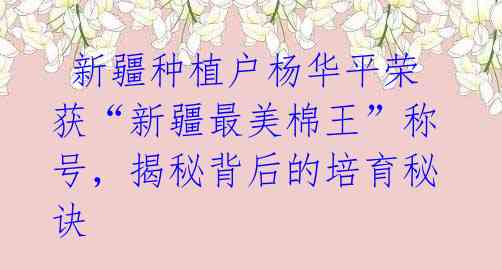 新疆种植户杨华平荣获“新疆最美棉王”称号,揭秘背后的培育秘诀