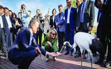 美国加州州长“绿色之旅”盛赞中国盐城湿地 珍禽成“友好使者”
