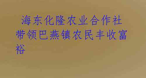 海东化隆农业合作社带领巴燕镇农民丰收富裕