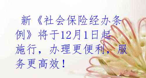 新《社会保险经办条例》将于12月1日起施行,办理更便利,服务更高效!