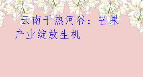 云南干热河谷:芒果产业绽放生机