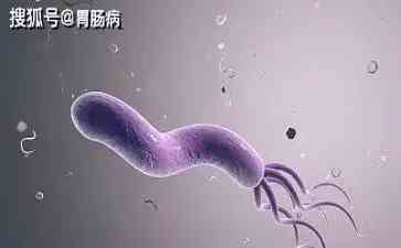 治疗难题:青霉素过敏患者的幽门螺杆菌根除困境