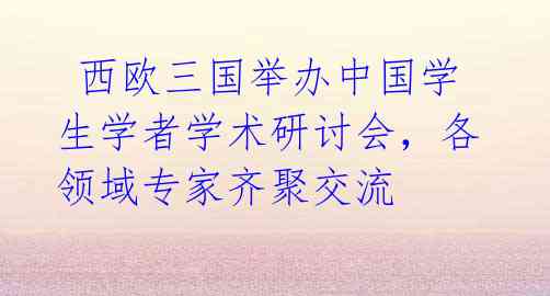 西欧三国举办中国学生学者学术研讨会,各领域专家齐聚交流