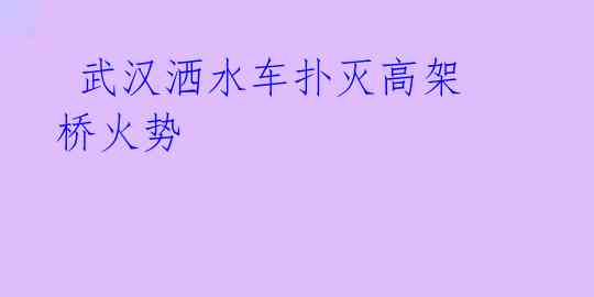 武汉洒水车扑灭高架桥火势