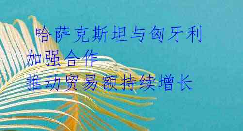 哈萨克斯坦与匈牙利加强合作 推动贸易额持续增长