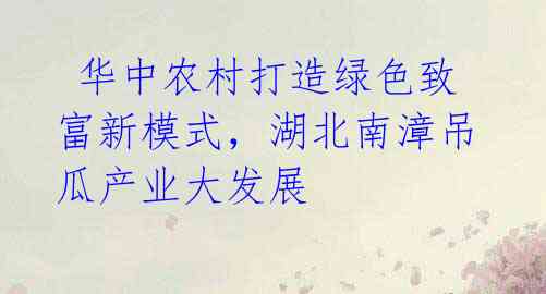 华中农村打造绿色致富新模式,湖北南漳吊瓜产业大发展
