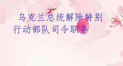 乌克兰总统解除特别行动部队司令职务