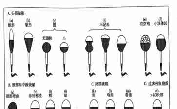 备孕困难？男女双方检查都有必要！ 