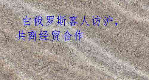 白俄罗斯客人访沪,共商经贸合作