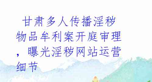  甘肃多人传播淫秽物品牟利案开庭审理，曝光淫秽网站运营细节