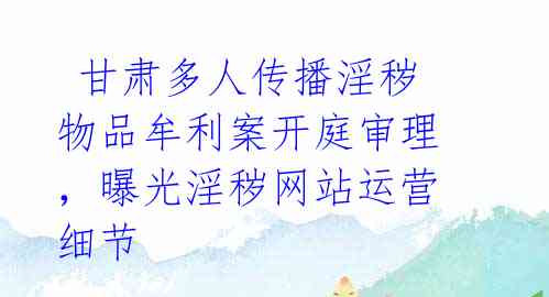  甘肃多人传播淫秽物品牟利案开庭审理，曝光淫秽网站运营细节 