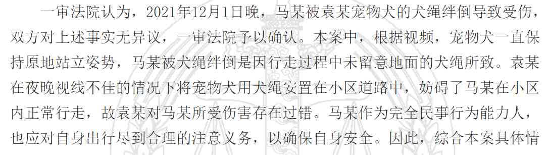  狗绳绊倒业主 致伤十级伤残，宠物主人背80%责赔50万
