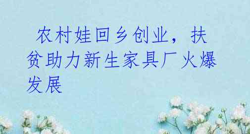  农村娃回乡创业，扶贫助力新生家具厂火爆发展