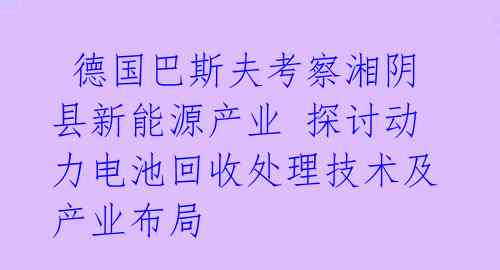  德国巴斯夫考察湘阴县新能源产业 探讨动力电池回收处理技术及产业布局 