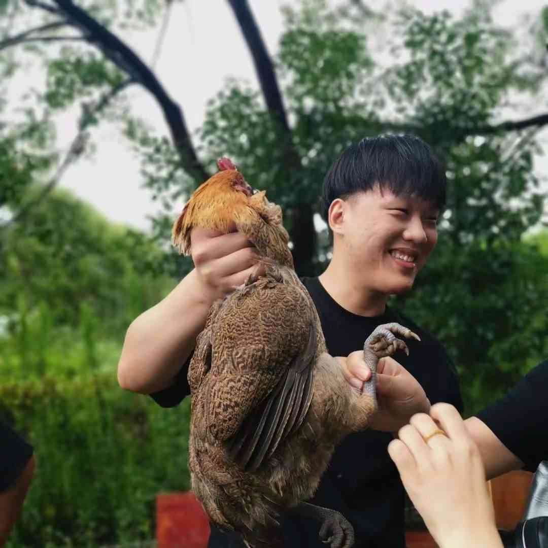  "嗨皮小猪农场：给丹阳乡村振兴铺就生态富民路"