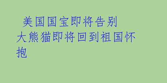 美国国宝即将告别 大熊猫即将回到祖国怀抱