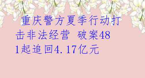  重庆警方夏季行动打击非法经营 破案481起追回4.17亿元 