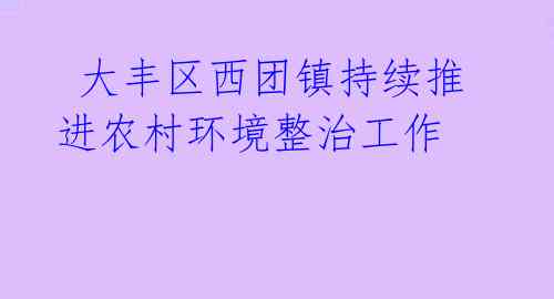 大丰区西团镇持续推进农村环境整治工作