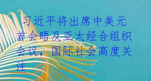 习近平将出席中美元首会晤及亚太经合组织会议,国际社会高度关注