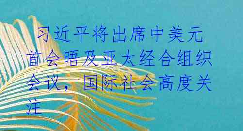  习近平将出席中美元首会晤及亚太经合组织会议，国际社会高度关注 