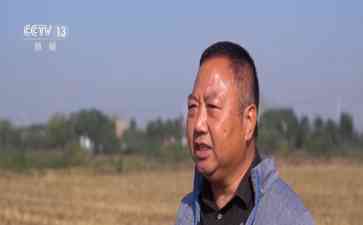 中国农民现代种田技术升级，冬小麦意向面积完成九成，迎丰收佳音
