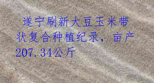  遂宁刷新大豆玉米带状复合种植纪录，亩产207.34公斤