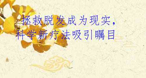 拯救脱发成为现实,科学新疗法吸引瞩目