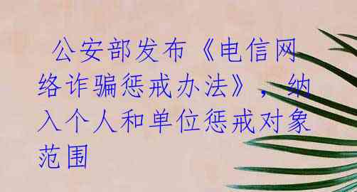  公安部发布《电信网络诈骗惩戒办法》，纳入个人和单位惩戒对象范围 