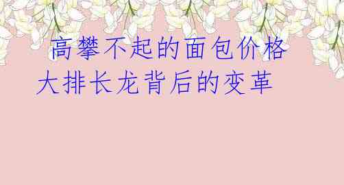  高攀不起的面包价格 大排长龙背后的变革