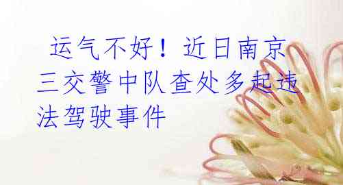  运气不好！近日南京三交警中队查处多起违法驾驶事件