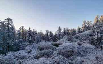  立冬后，四川眉山瓦屋山初次迎来飘雪 