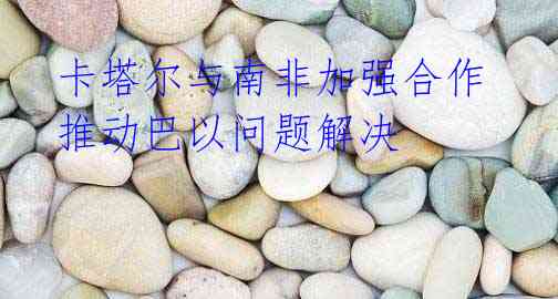 卡塔尔与南非加强合作 推动巴以问题解决
