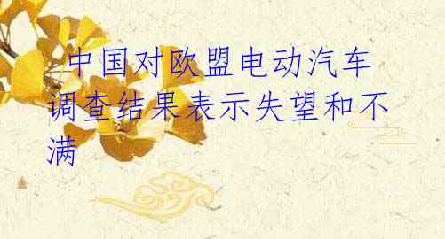 中国对欧盟电动汽车调查结果表示失望和不满