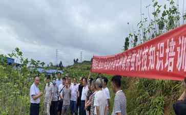 罗甸县离退休干部积极参与乡村振兴,用技能指导助力产业发展
